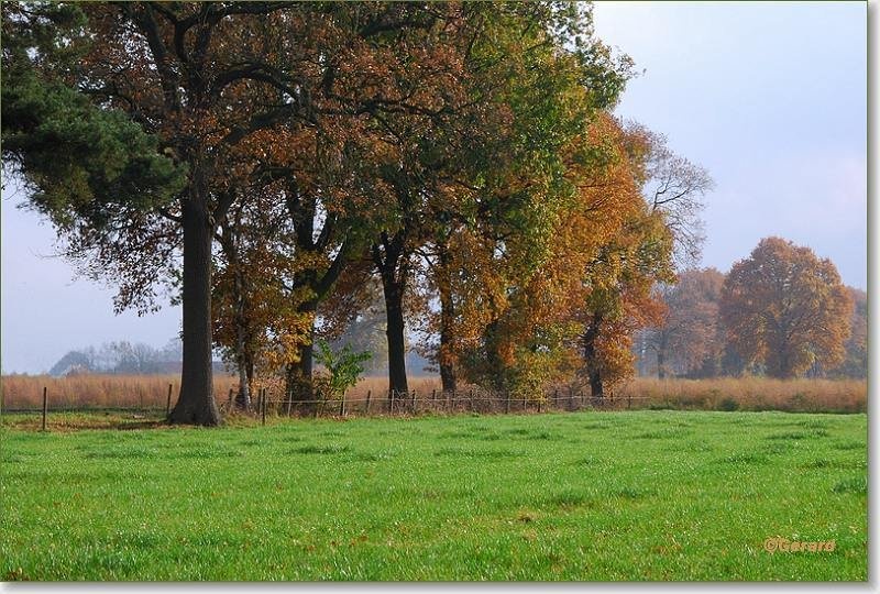 Herfstkleuren Schutshoeve 2.JPG - Herfstkleuren Schutshoeve